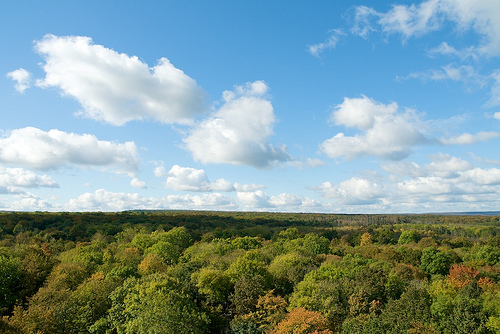 Hainich National Park